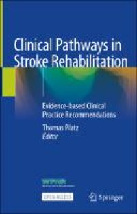 Image of Clinical Pathways in Stroke Rehabilitation