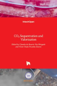 Image of CO2 Sequestration and Valorization