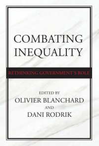 Combating inequality :rethinking government's role