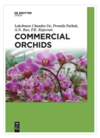 Image of Commercial Orchids