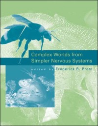 Complex Worlds from Simpler Nervous Systems