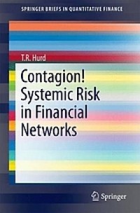 Contagion! : systemic risk in financial networks