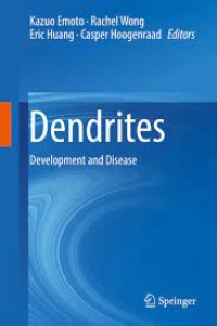 Dendrites : development and disease