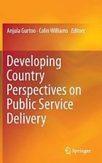 Developing country perspectives on public service delivery