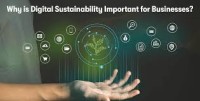 Digital Sustainability