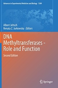 DNA Methyltransferases - Role and Function