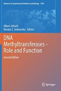 DNA Methyltransferases - Role and Function