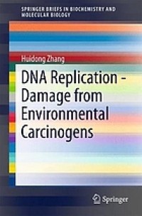 DNA replication : damage from environmental carcinogens