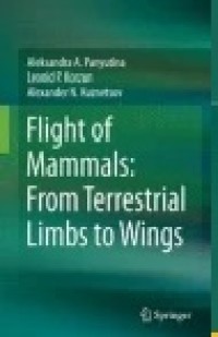 Flight of Mammals: From Terrestrial Limbs to Wings