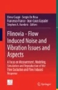 Flinovia - Flow Induced Noise and Vibration Issues and Aspects
