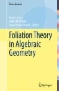 Foliation Theory in Algebraic Geometry