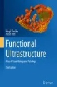 Functional Ultrastructure