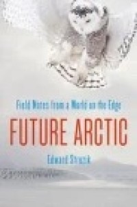 Image of Future Arctic