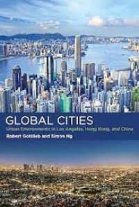 Global Cities: Urban Environments in Los Angeles, Hong Kong, and China