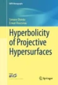 Hyperbolicity of Projective Hypersurfaces