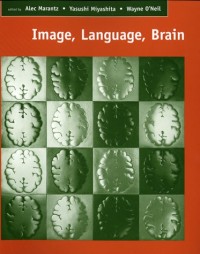 Image, language, brain : papers from the First Mind Articulation Project Symposium