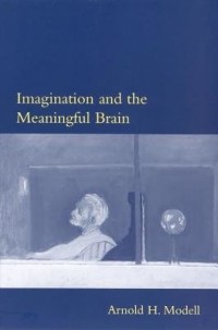 Imagination and the meaningful brain