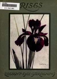 Image of Irises