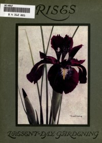 Irises