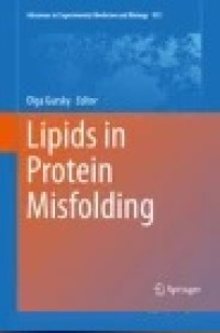 Lipids in Protein Misfolding