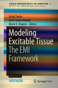 Mathematical Modeling of the Human Brain