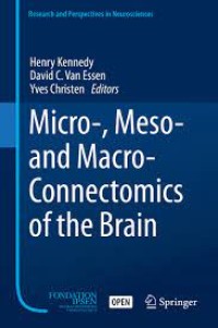 Micro-, Meso- and Macro-Dynamics of the Brain