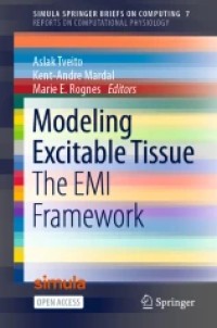 Modeling Excitable Tissue: The EMI Framework