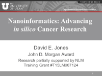 Nanoinformatics