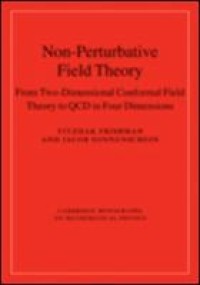 Image of Non-Perturbative Field Theory