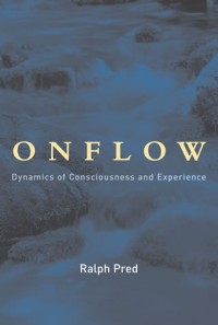 Onflow :dynamics of consciousness and experience