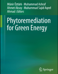 Phytoremediation for Green Energy