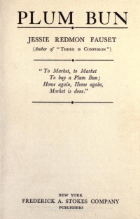 Image of Plum bun : a novel without a moral