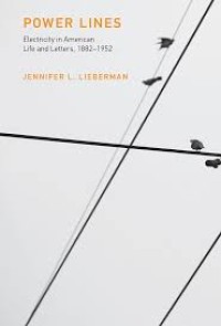 Power lines electricity in American life and letters 1882-1952
