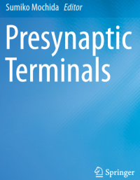 Presynaptic Terminals