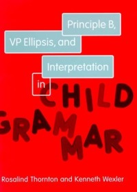 Principle B, VP ellipsis, and interpretation in child grammar