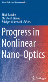 Progress in Nonlinear Nano-Optics