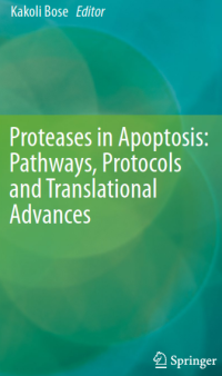 Proteases in Apoptosis; Pathways, Protocols and Translational Advances