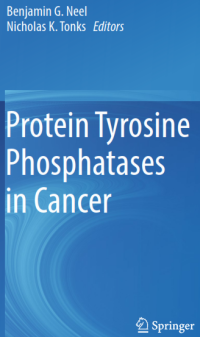 Protein Tyrosine Phosphatases in Cancer