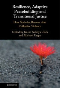 Resilience, Adaptive Peacebuilding and Transitional Justice: How Societies Recover after Collective Violence