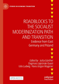 Image of Roadblocks to the Socialist Modernization Path and Transition