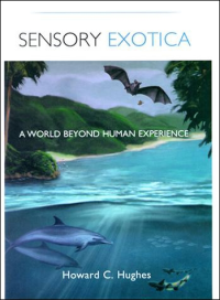 Sensory Exotica; A World beyond Human Experience