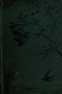 Image of Short studies from nature