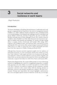 Image of Social networks and resilience in work teams