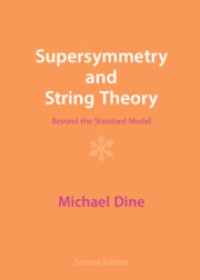 Supersymmetry and String Theory: Beyond the Standard Model