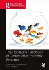 Image of Systemic Governance