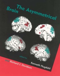 The asymmetrical brain