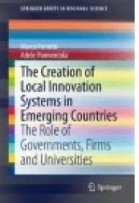 The Creation of Local Innovation Systems in Emerging Countries