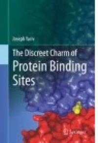 The Discreet Charm of Protein Binding Sites
