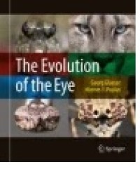 The Evolution of the Eye