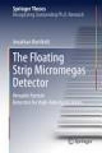 The Floating Strip Micromegas Detector